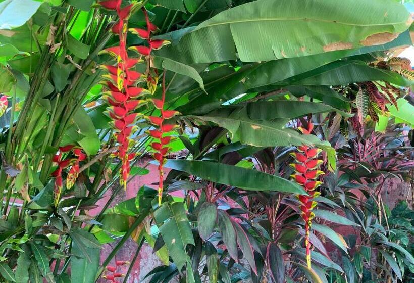 호스텔 Hostal Tia Reyna