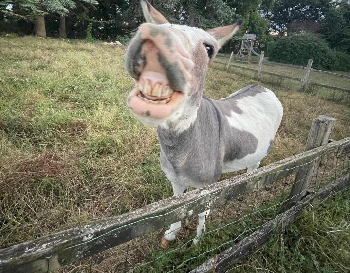 민박 Hameau Du Hour   Chambre D Hôtes Et Gîtes