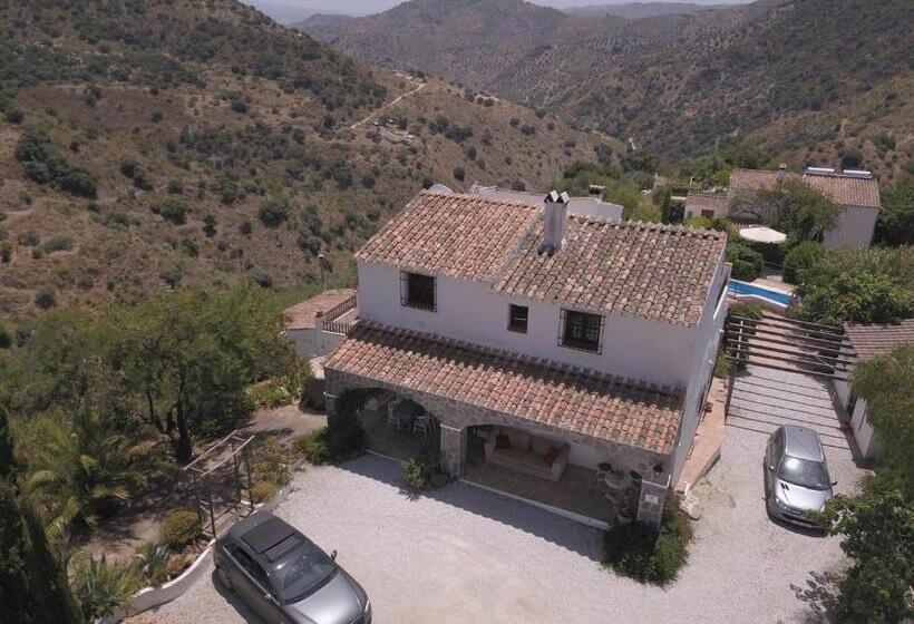 مبيت وإفطار Hilvy Rooms