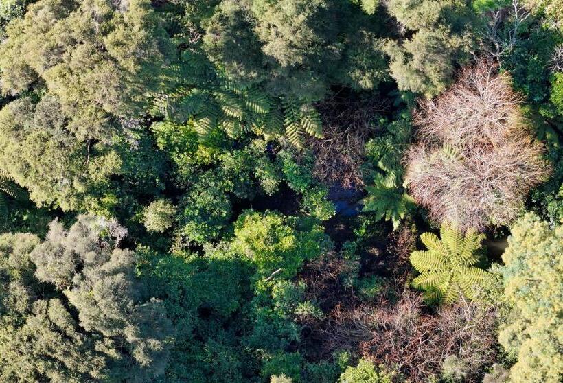 צימר Kaitahi   Luxury Lodge