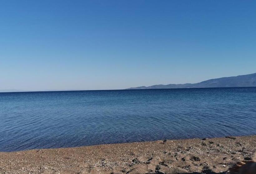 مبيت وإفطار Mesken Bungalow