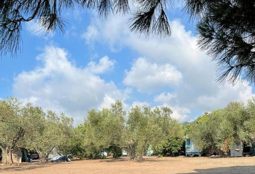 ベッドアンドブレックファースト Mesken Bungalow