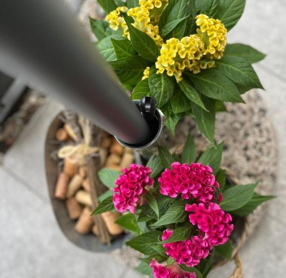 Bed and Breakfast Sveva Haven Malpensa