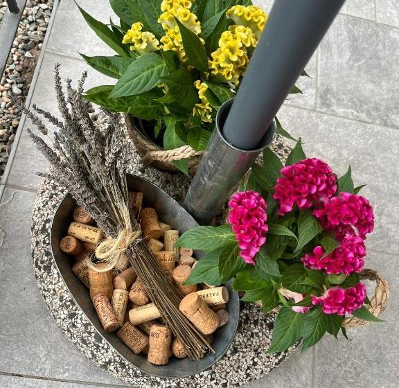 Bed and Breakfast Sveva Haven Malpensa