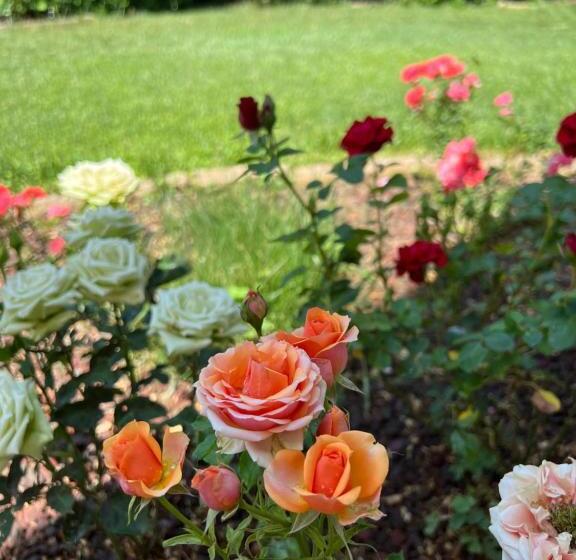 مبيت وإفطار Villa Nuvola Suites