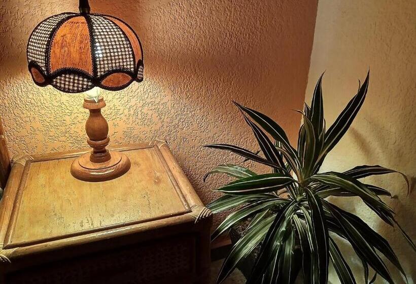 ホテル Hostel Paricutín