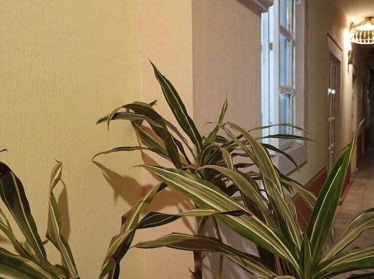 ホテル Hostel Paricutín