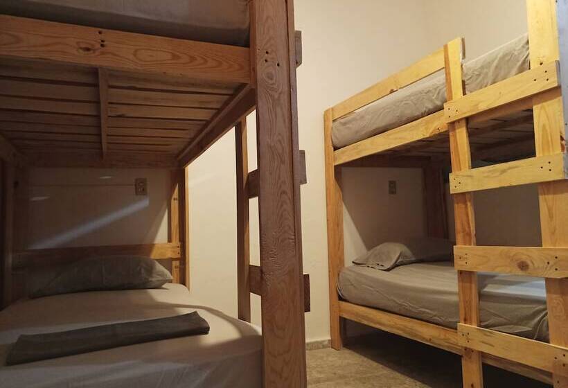 ホテル Hostel Paricutín