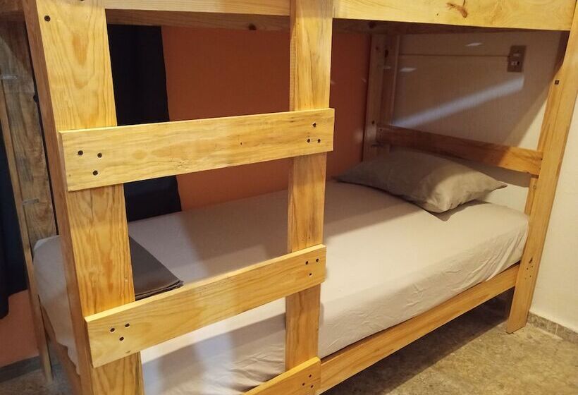 ホテル Hostel Paricutín