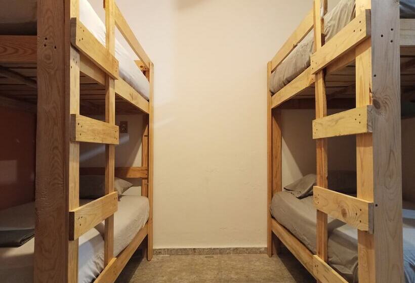 ホテル Hostel Paricutín