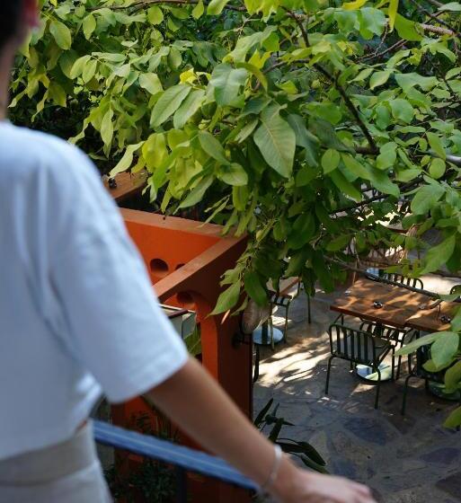 هتل Pietra Social House