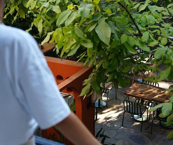 Отель Pietra Social House