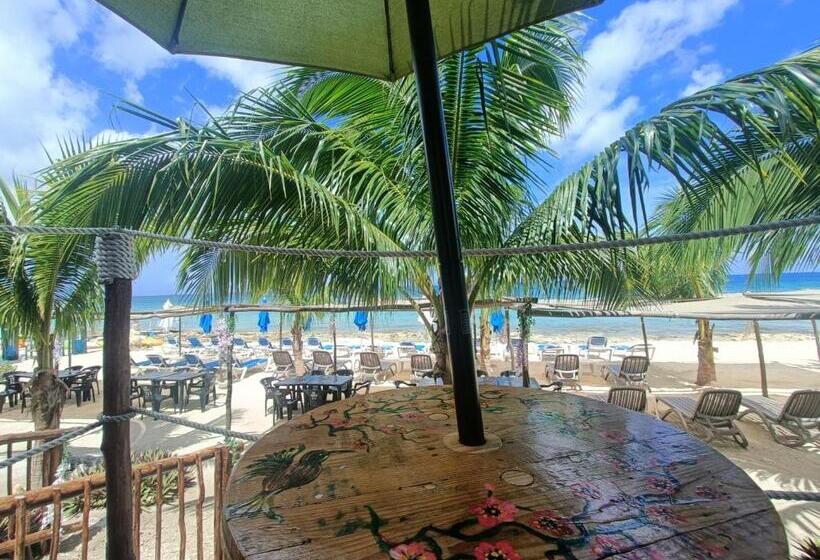 酒店 Pixan Bungalows