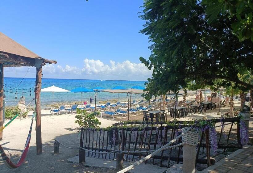 酒店 Pixan Bungalows