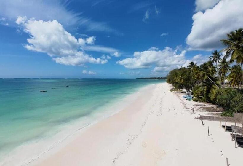 بنسيون Baha Nest Lodge