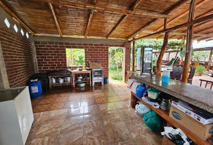 بنسيون Camping Hostel