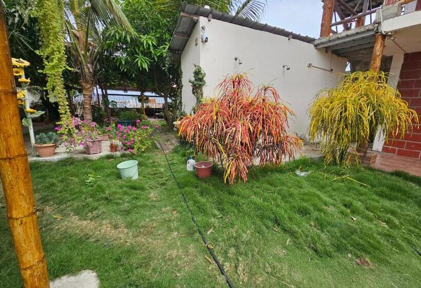 بنسيون Camping Hostel