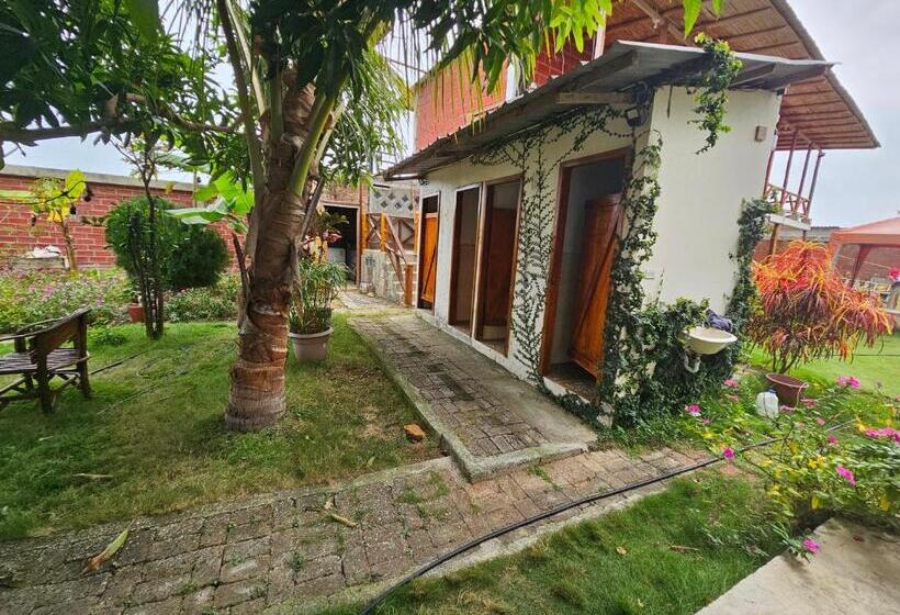 بنسيون Camping Hostel