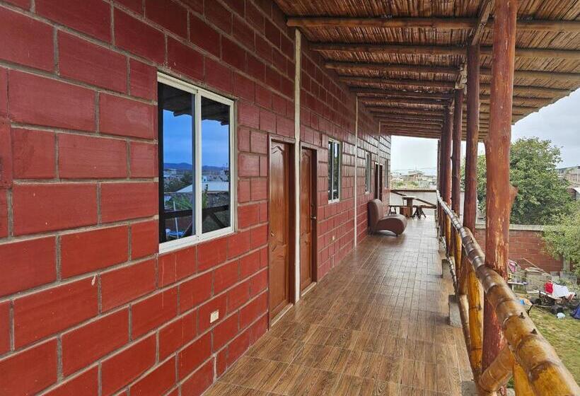 بنسيون Camping Hostel