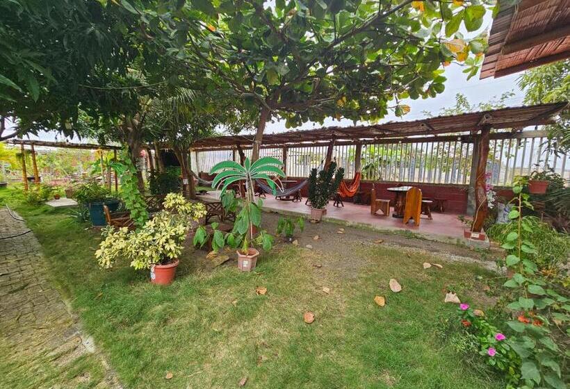 بنسيون Camping Hostel