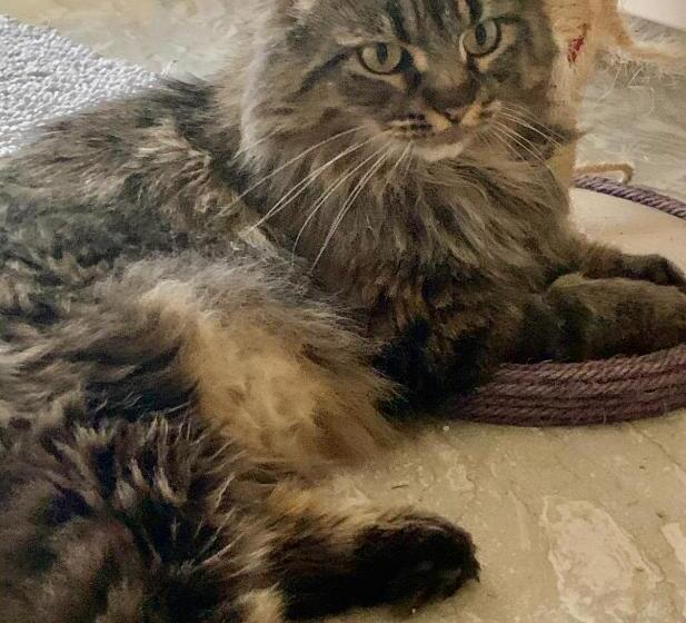 פנסיון Casa Cristalli