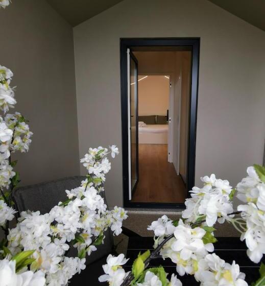 膳宿费 Cidade Alojamento