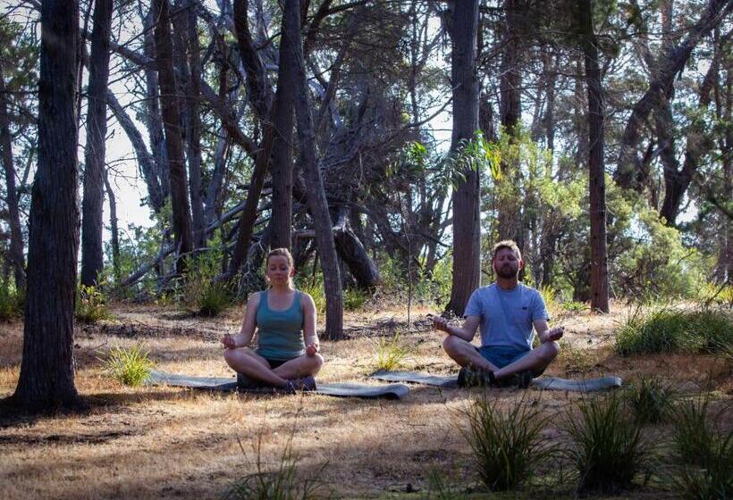 پانسیون Island Alive Guest House