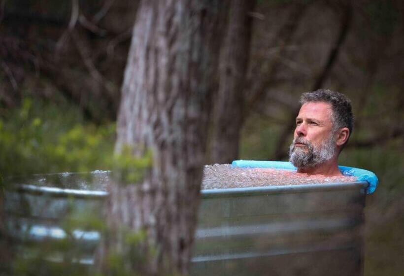 پانسیون Island Alive Guest House