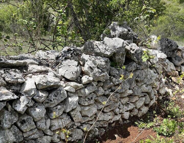 펜션 Le Mas De Loume