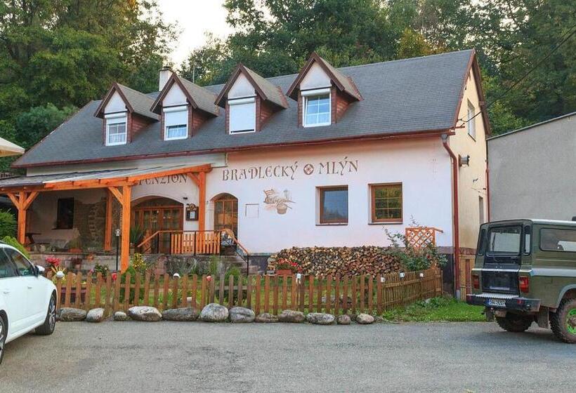 펜션 Penzion Bradlecký Mlýn