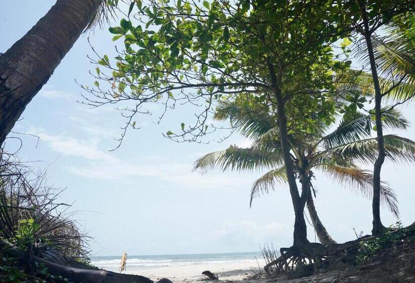 פנסיון The Gharaundha