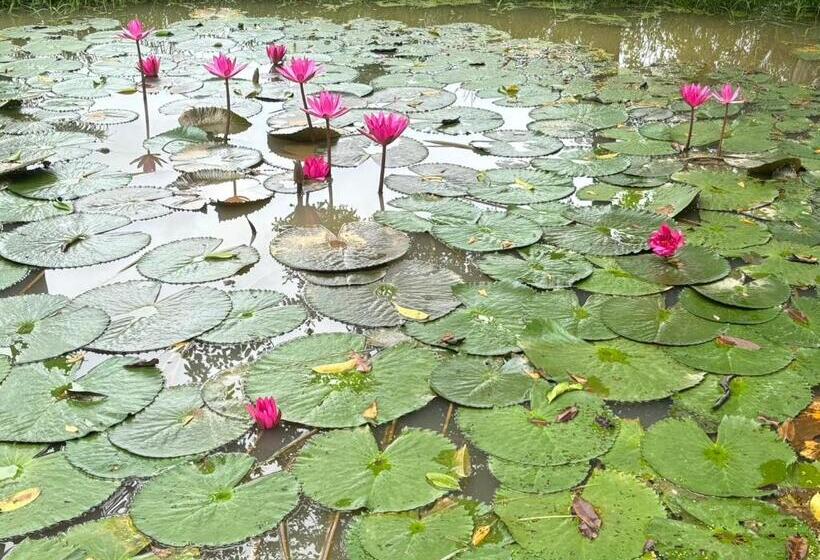 Lomakeskus อภิรตา รีสอร์ท