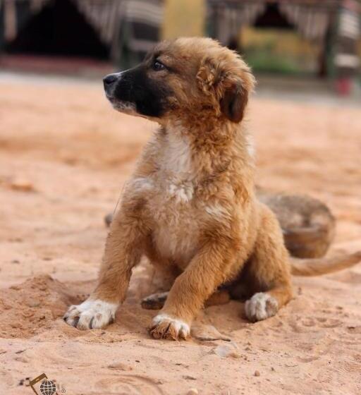 هاستل Muab Rural Village