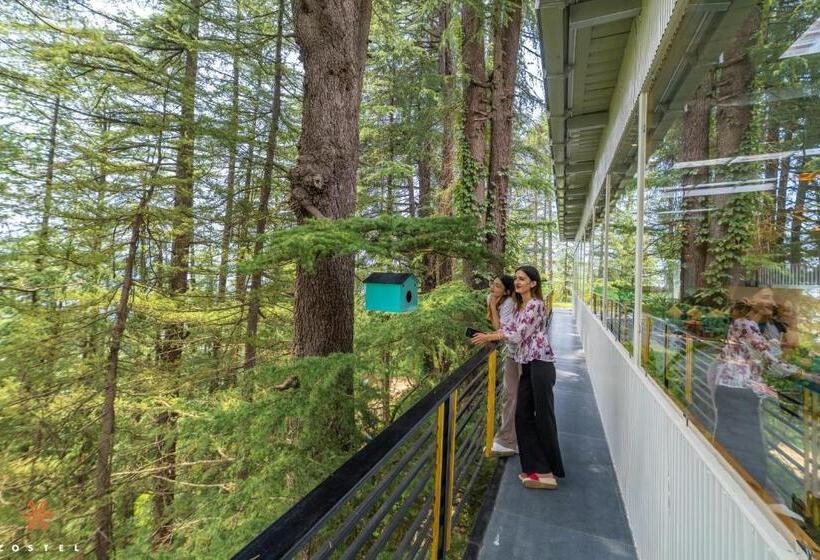 호스텔 Zostel Kotgarh