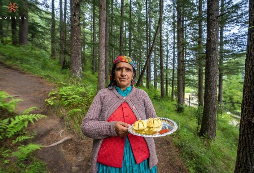 호스텔 Zostel Kotgarh