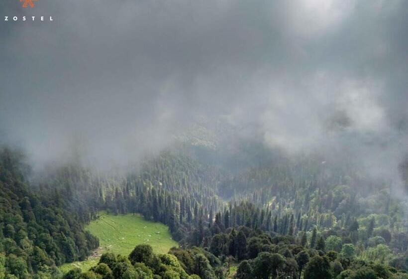 호스텔 Zostel Kotgarh