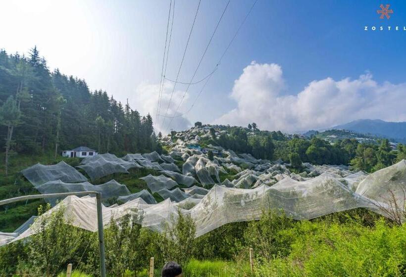 호스텔 Zostel Kotgarh