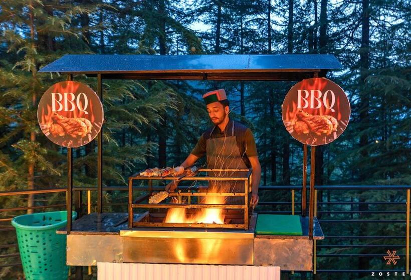 호스텔 Zostel Kotgarh