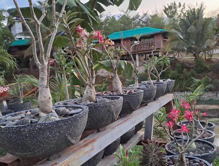 Ba An Talae Eco Farm Resort &