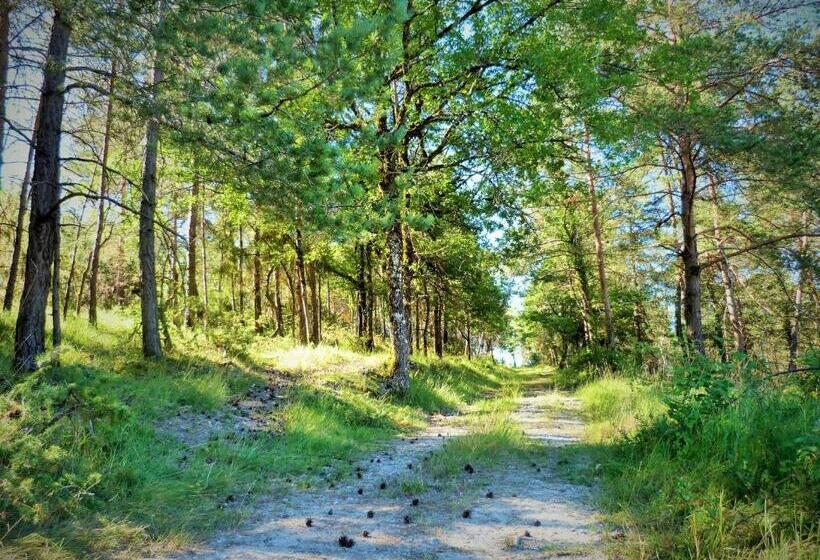 צימר Chambre Chardon