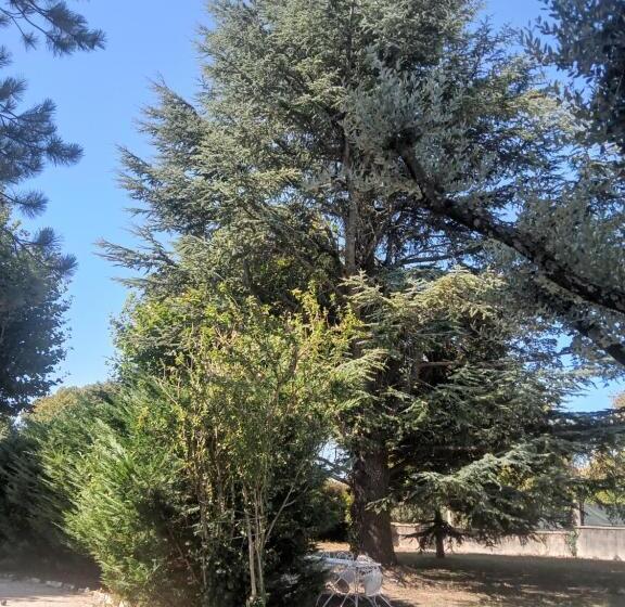 Bed and Breakfast Chambre D Hôte La Sousto