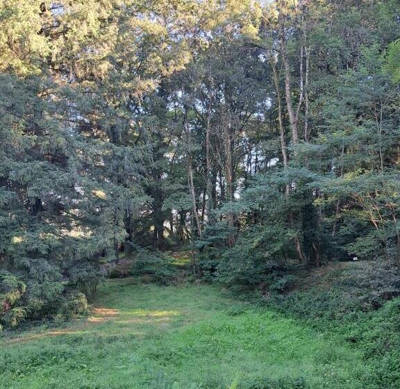 住宿加早餐  Lavallade12