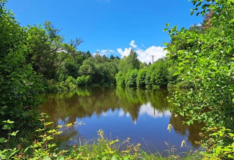 住宿加早餐  Lavallade12