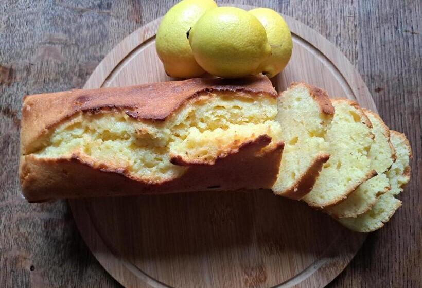 住宿加早餐  Lavallade12