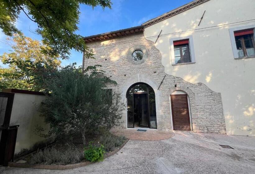 住宿加早餐  San Pietro Fuori Le Mura