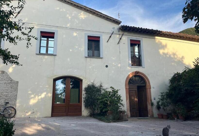 住宿加早餐  San Pietro Fuori Le Mura