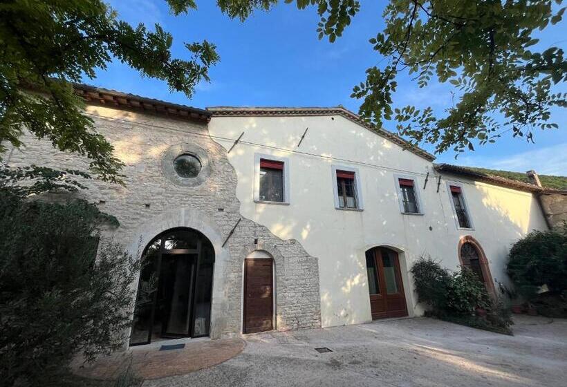 住宿加早餐  San Pietro Fuori Le Mura