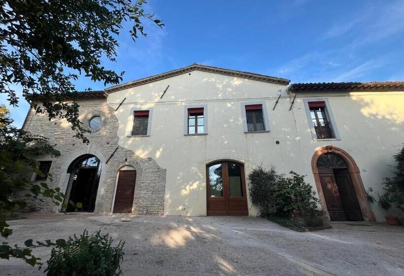 住宿加早餐  San Pietro Fuori Le Mura