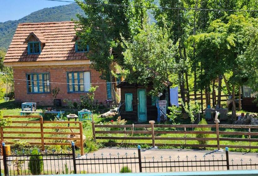 تختخواب و صبحانه თორო Thoreau