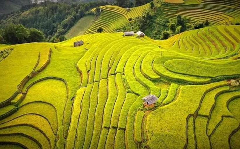 هتل A Khải Homestay